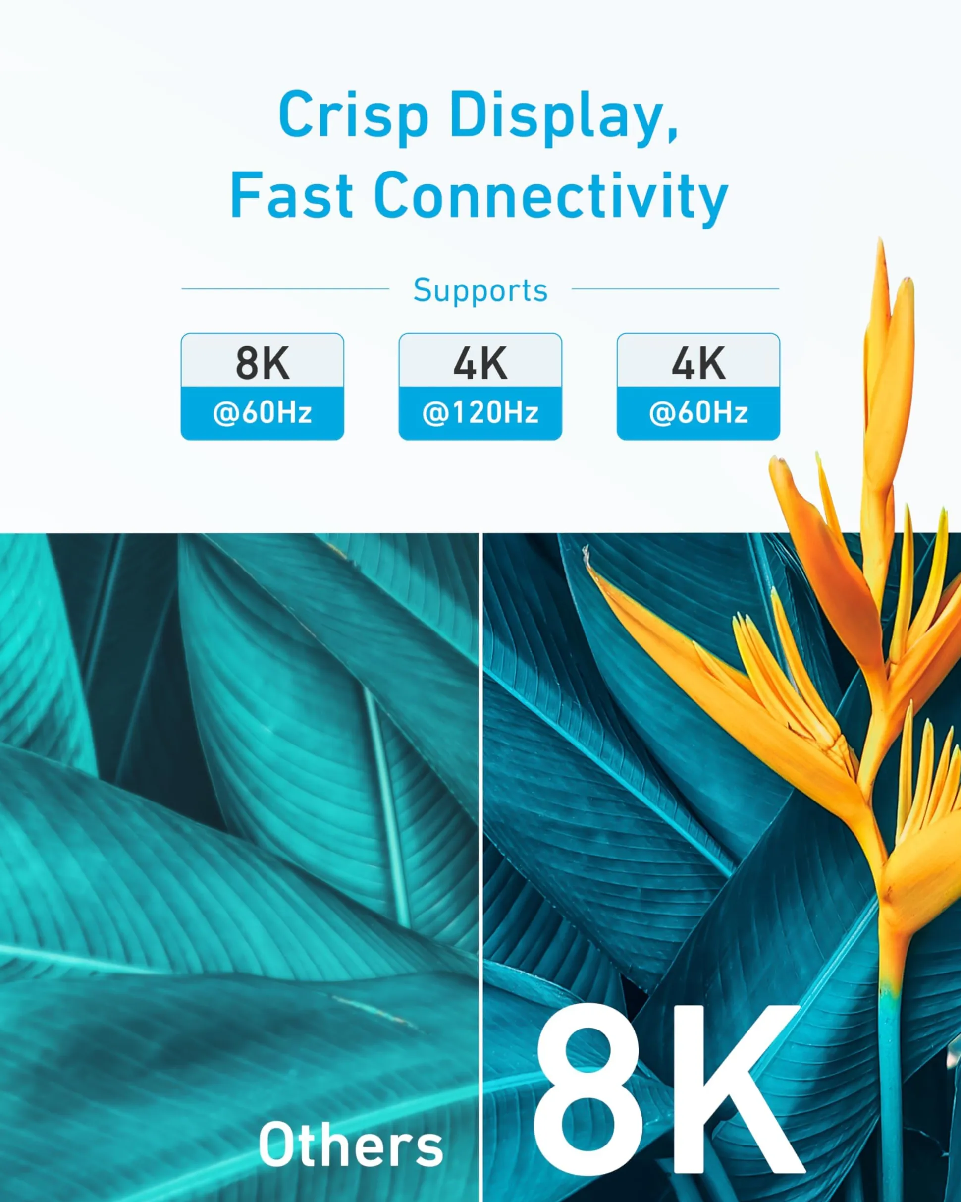 Anker HDMI Cable (6 ft, 8K)