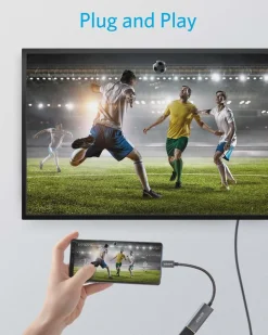 Anker 310 USB-C Adapter (4K HDMI)